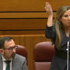 Ana Rosa Hernando y Javier Teira durante el pleno de las Cortes.