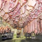 En la provincia quedan tres mataderos donde se sacrificaron en el último año 112.619 animales. MARIO TEJEDOR