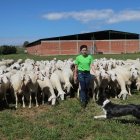 Explotación de ganado ovino de Nerea del Río en la localidad de Robladillo de Ucieza(Palencia).