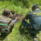 Agentes medioambientales de la Junta localizan muerto un oso pardo en la Montaña Palentina