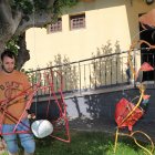 Exposición 'Bichos' de José Castrillo en el museo de arte contemporáneo de Carrión de los Condes (Palencia)