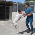 Protectora  de animales de Palencia