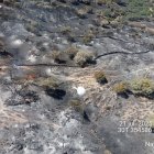 Incendio de Navaluenga esta mañana
