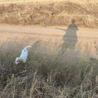 Apertura de la media veda en Castilla y León.