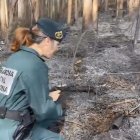Guardia Civil investiga un incendio, en una imagen de archivo