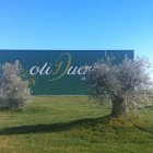 Almazara Oliduero en Medina del Campo (Valladolid)