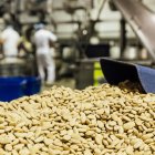 Almendras siendo procesadas tras la recolección

Joaquín Reina - Europa Press