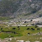 Parque Regional de la Sierra de Gredos