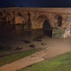 El río Duero inunda, a su paso por Zamora, parte del paseo de la margen derecha.