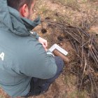 Proyectil de la Guerra Civil en Matalbaniega (Palencia)