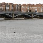 La lluvia en Salamanca durante todo el día provoca la subida del cauce en el río Tormes.