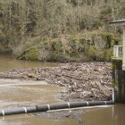 Maleza y troncos acumulados junto a la presa de Montearenas en el río Boeza en Ponferrada debido al temporal de lluvias