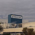 Planta de Cerealto Siro en una foto de archivo