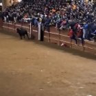 Capea de Ciudad Rodrigo donde se produjo el accidente