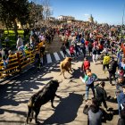 Carnaval del Toro en Ciudad Rodrigo (Salamanca)