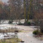 El río Órbigo se desborda en Villanueva de Carrizo (León)
