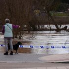 Casas y calles afectadas por la crecida del río Duero en Tudela de Duero