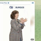 Fotograma del vídeo del PP de Burgos que Alvise ha 'troleado' y hecho viral. En la imagen, la cabeza de lista del PP en Burgos se dispone a recoger una nuez.