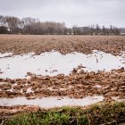 Campo de Soria anegado por las continuas lluvias.