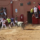 Toro enmaromado de Benavente en una imagen de archivo