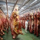 Un trabajador en las instalaciones del matadero en Ciudad Rodrigo (Salamanca) en una imagen de archivo