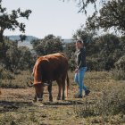 Carlos del Amo y su hermana Alicia representan la tercera generación de carniceros y ganaderos que han dado el salto a la cadena completa del proceso productivo.