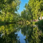Un tramo del Canal de Castilla entre arbolado de ribera, uno de los paisajes más característicos de esta ruta perfecta para recorrer en bici o a pie