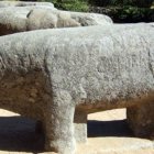 Ejemplos de verracos vetones: figuras de granito talladas hace más de 2.000 años que representaban toros y suidos y cumplían funciones de protección territorial, comunitaria y funeraria.