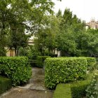 El Huerto de Calixto y Melibea, uno de los espacios más emblemáticos de Salamanca, con la catedral emergiendo entre la vegetación histórica del jardín
