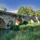 El histórico puente de piedra sobre el río Carrión, uno de los enclaves más emblemáticos donde naturaleza y patrimonio conviven en Palencia