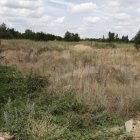 Terrenos donde se realizarán las actuaciones de la Red de Calor