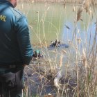 Un agente en el Canal de Castilla donde aparecieron las máquinas recreativas