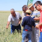 Alrededor de 75 agricultores participaron en las jornadas de ensayo en Cabrejas del Campo.