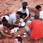 Tres nuevos estudios refuerzan la importancia científica de los dinosaurios de la Sierra de la Demanda, en Burgos.