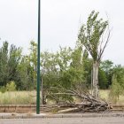 Fuertes rachas de viento en Valladolid ayer.