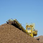 Recepción de remolacha en la fábrica de Acor en Olmedo (Valladolid) en plena campaña de remolacha.