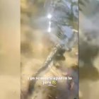 El vídeo difundido en redes sociales permitió a los agentes del SEPRONA iniciar la investigación sobre la presunta liberación de un siluro, una especie exótica invasora, en el río Águeda.
