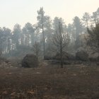 El incendio forestal de Burgohondo (Ávila).