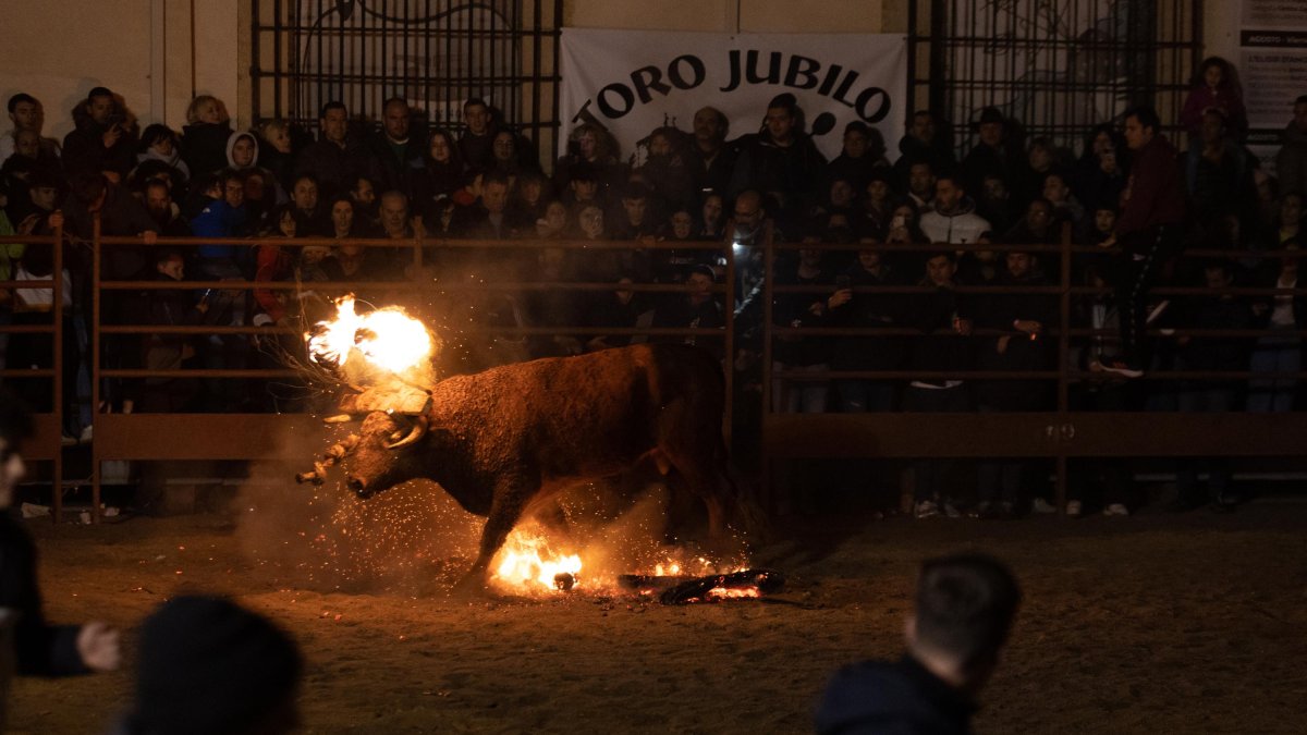 El Toro Jubilo de Medinaceli en una imagen de archivo. SARA RONCAL