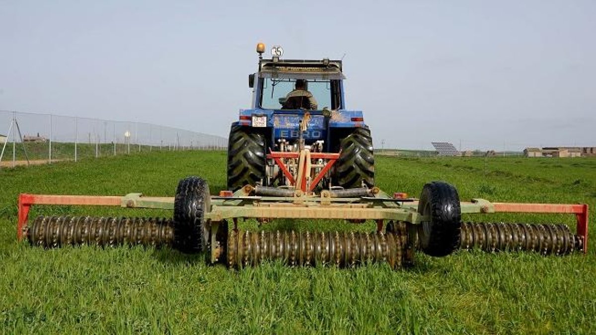 Agricultor de Villanueva del Campo arrodilla con su tractor un cultivo de alfalfa