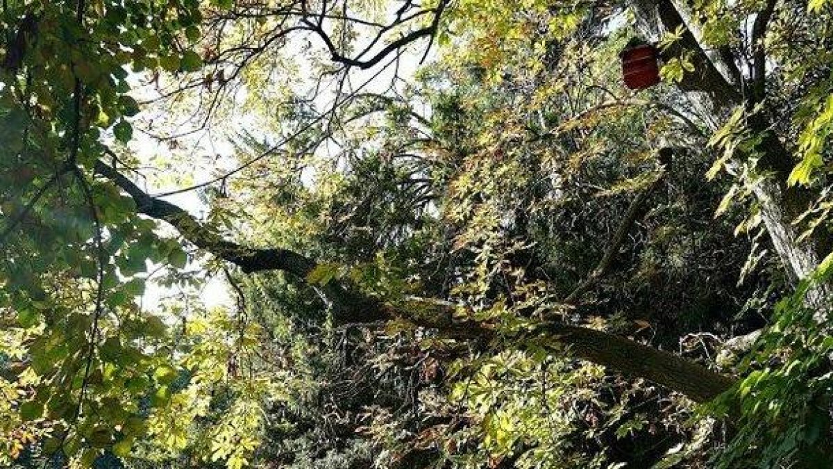 Castilla y León recibe el 'Veranillo de San Miguel'. Imagen de archivo.