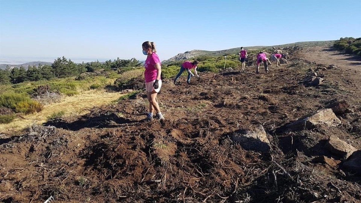 Participantes en programas de voluntariado ambiental