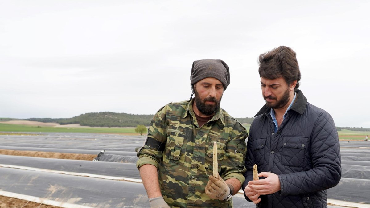 El vicepresidente de la Junta de Castilla y León, Juan García-Gallardo, visita Huerta Luis San José-Espárragos Ecológicos de Tudela de Duero