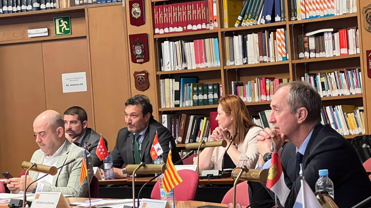 La directora de la Agencia de Protección Civil y Emergencias, Irene Cortés, asiste esta semana en Madrid a dos jornadas de trabajo en el marco del pleno del Consejo Nacional de Protección Civil - JCYL