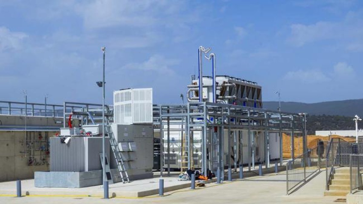 Imagen de la planta.