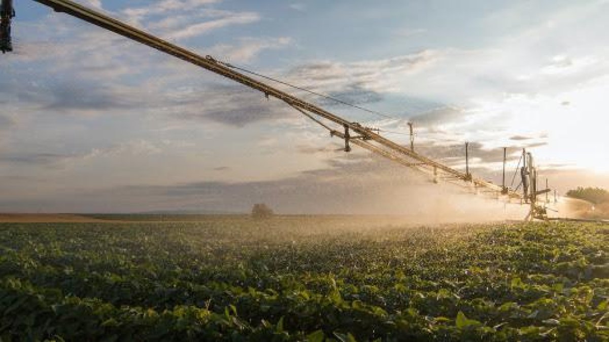 Un campo de regadío, imagen de archivo. FENACORE