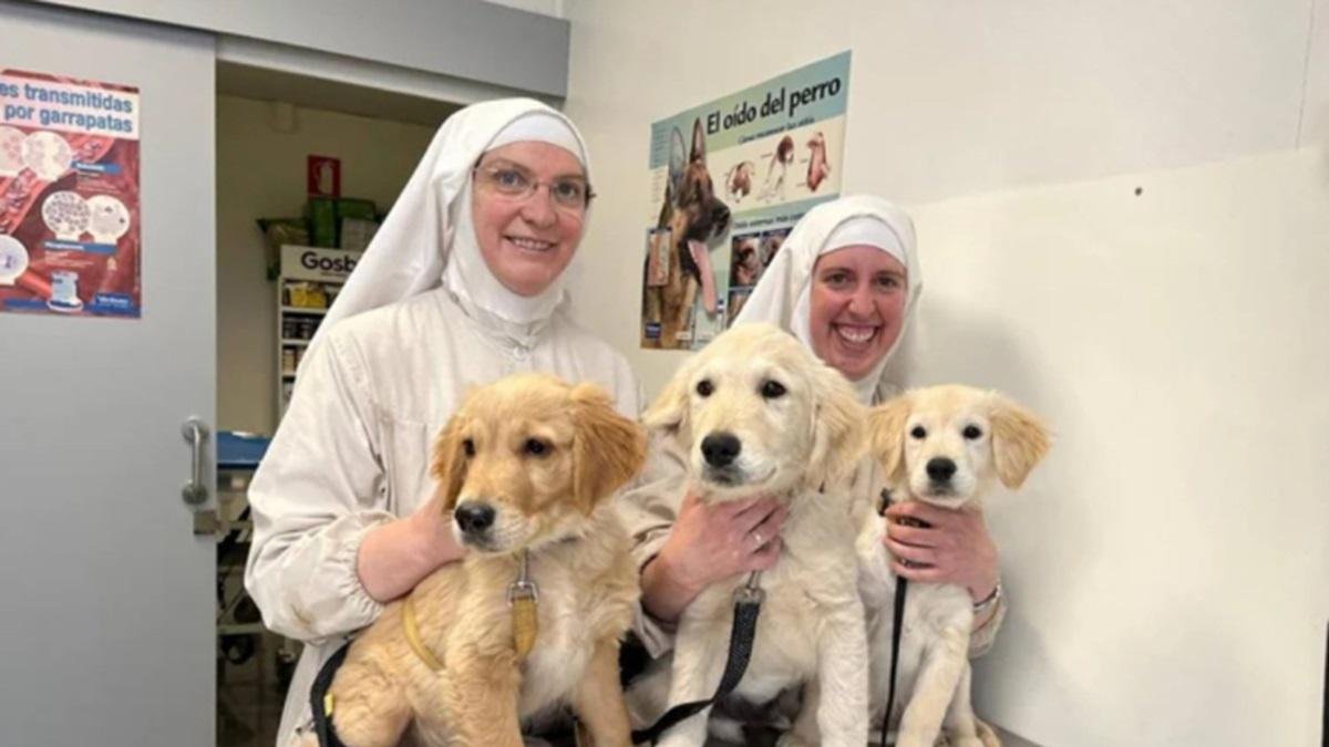 Sor Sión y otra hermana de Belorado junto a varios cachorros en una clínica veterinaria