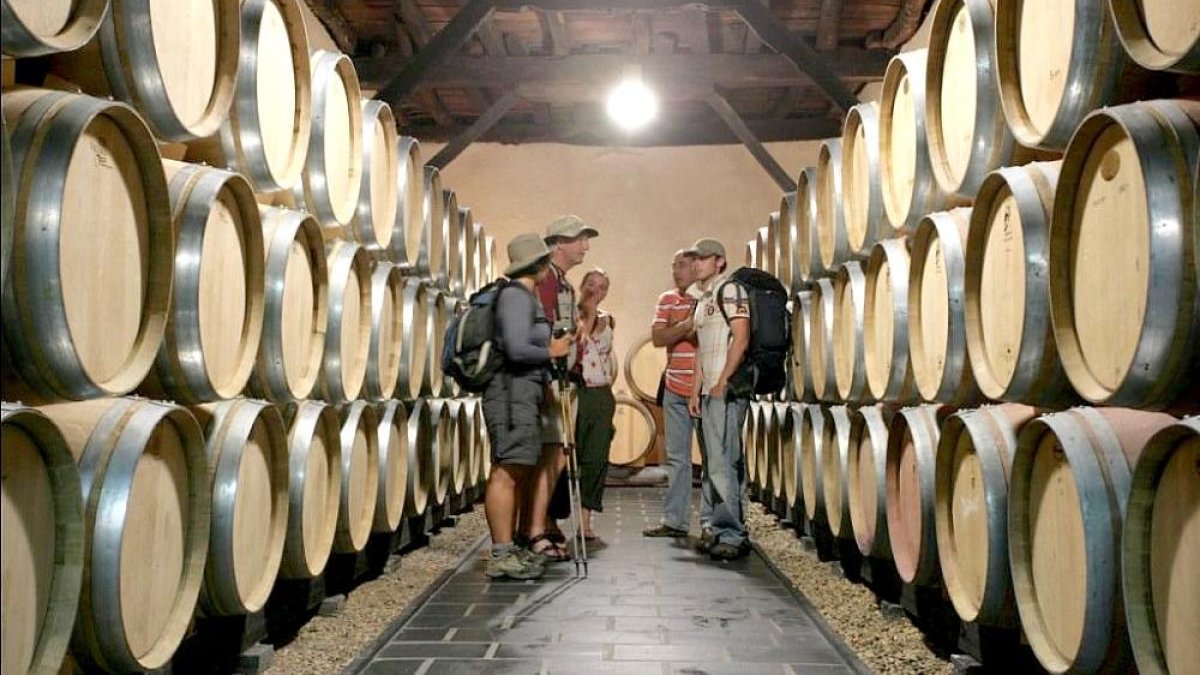 Visita guiada en una bodega de la DO Bierzo, en León. ICAL