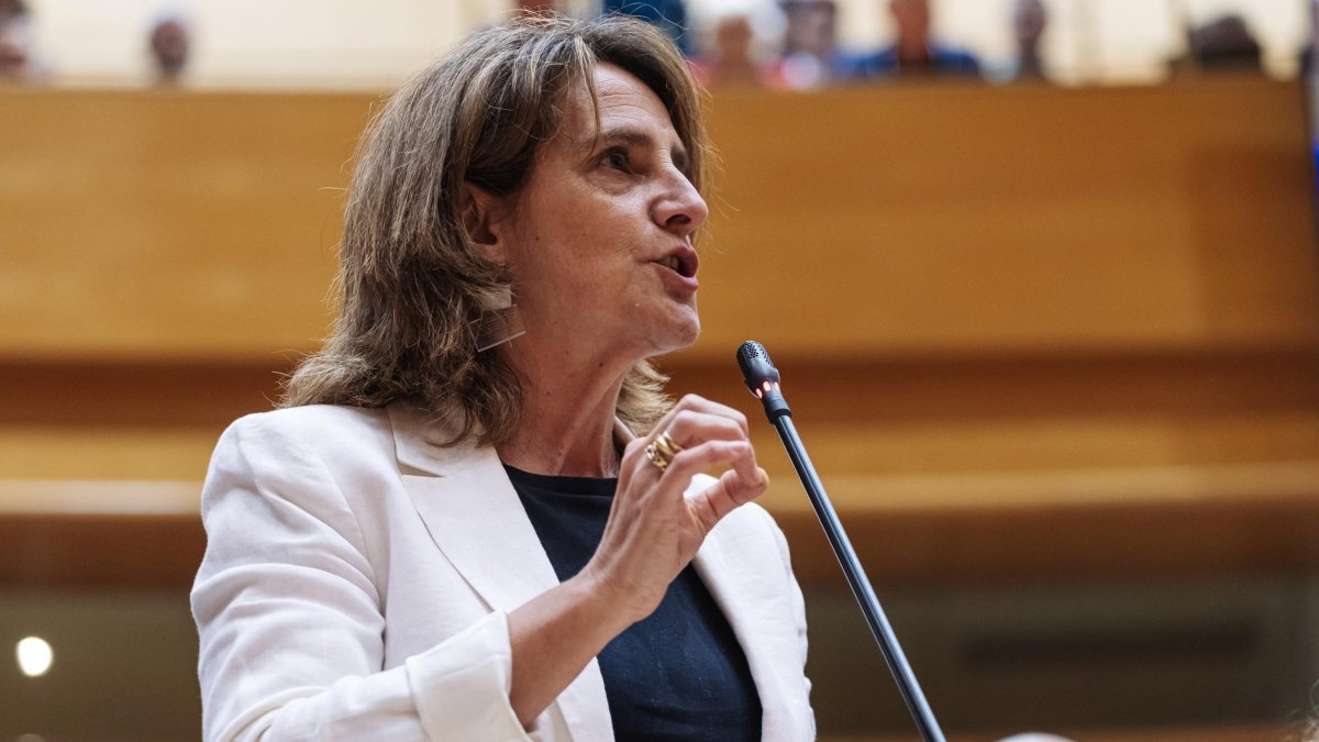 Teresa Ribera, en una imagen de archivo.