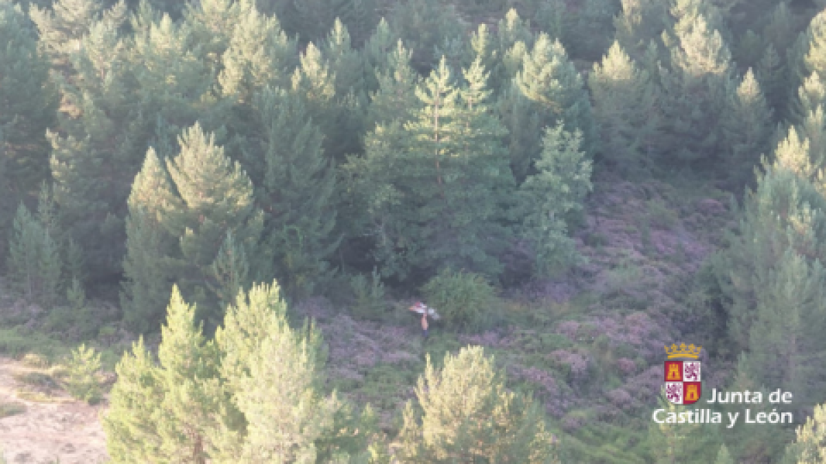 Imagen del herido desde el helicóptero de rescate